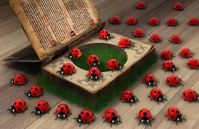 Ladybug - isang simbolo ng banal na tulong, proteksyon