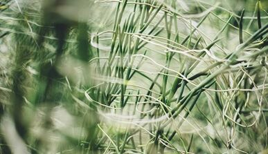 Paano gumawa ng isang magandang kapalaran amulet gamit ang iyong sariling mga kamay