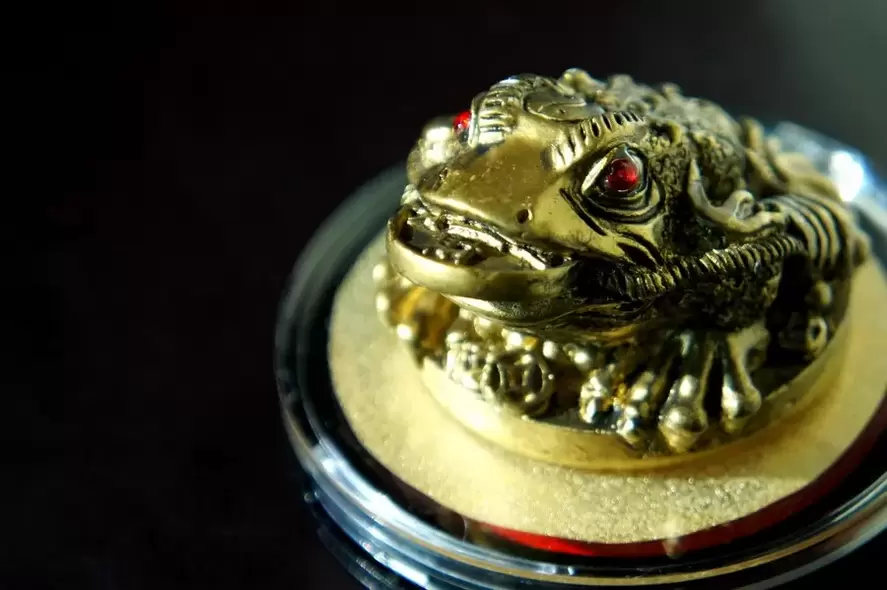 good luck amulet - tatlong paa na palaka